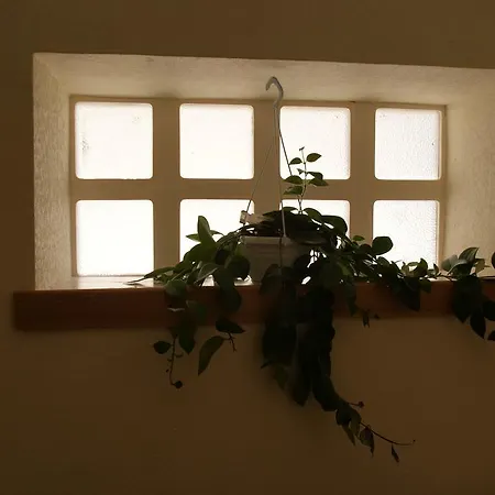 Maison Fortunat Сasa de vacaciones Carcasona